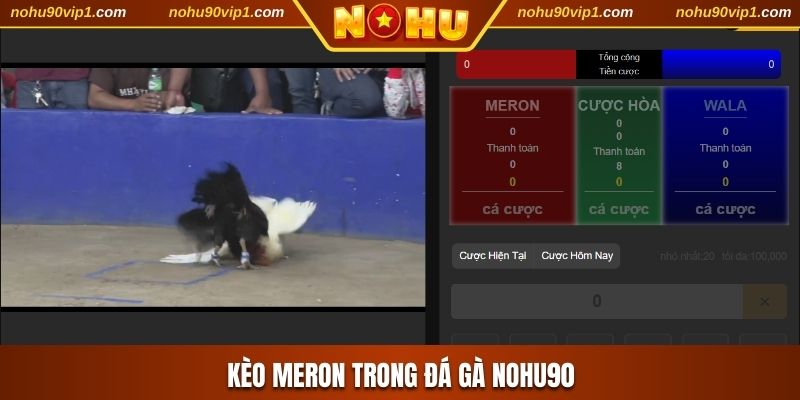 Kèo Meron trong đá gà NOHU90