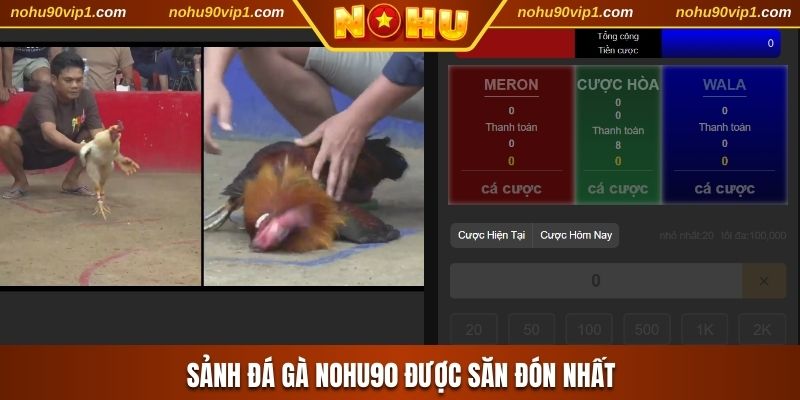 Sảnh đá gà NOHU90 được săn đón nhất