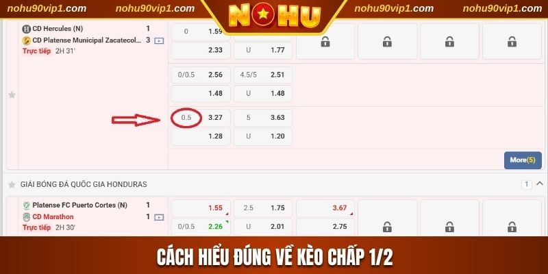 Cách hiểu đúng về kèo chấp 1/2