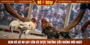 Đá Gà 88