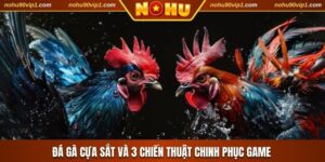 Đá Gà Cựa Sắt