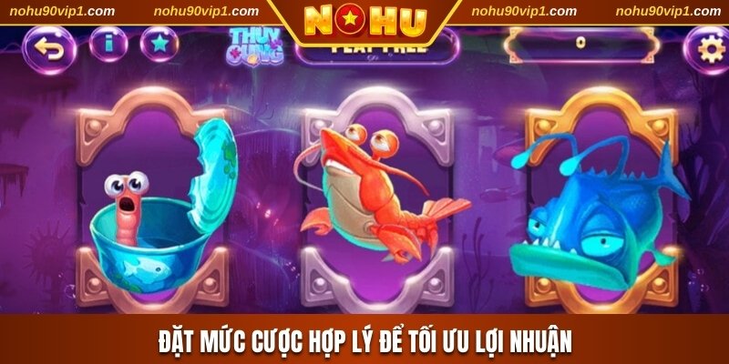 Đặt mức cược hợp lý để tối ưu lợi nhuận