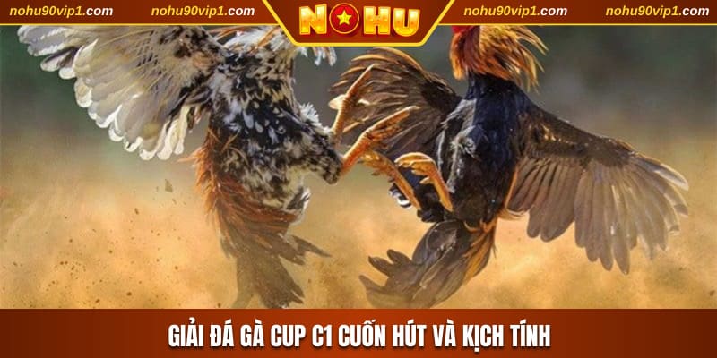 Giải đá gà Cup C1 cuốn hút và kịch tính