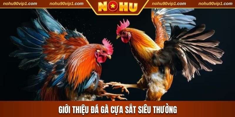 Giới thiệu đá gà cựa sắt siêu thưởng