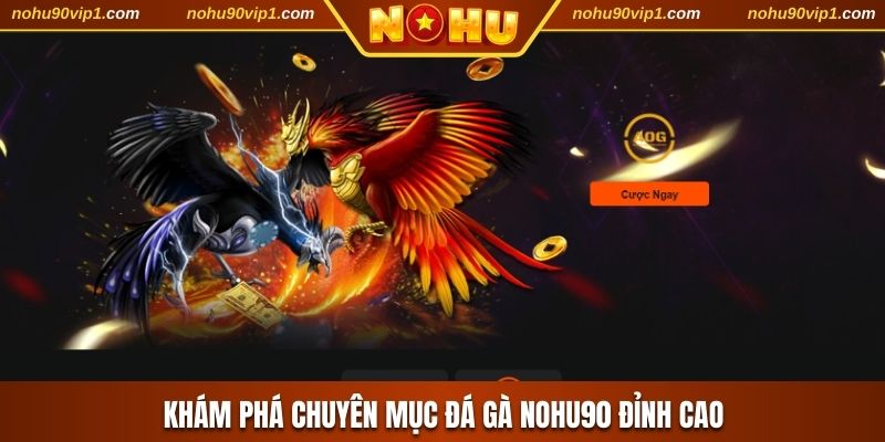 Khám phá chuyên mục đá gà NOHU90 đỉnh cao