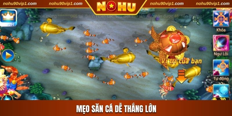 Mẹo săn cá dễ thắng lớn