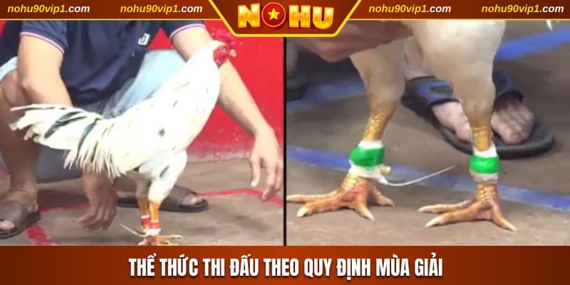 Thể thức thi đấu theo quy định mùa giải